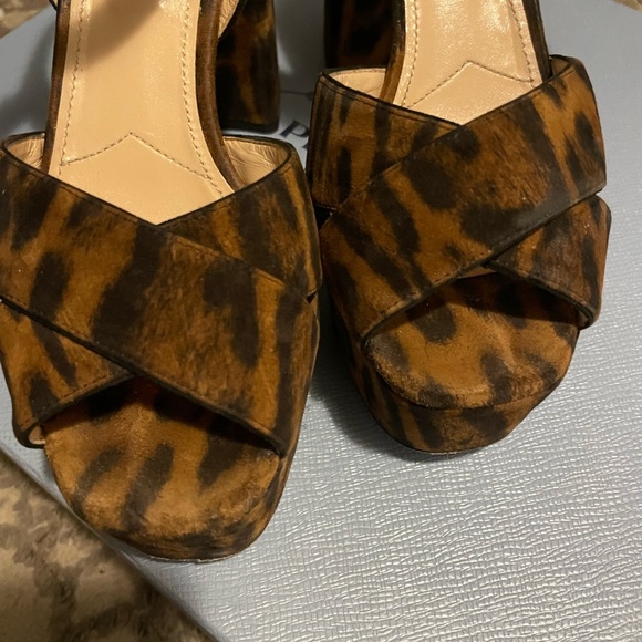 Leopard Prada Sandal - Picture 5 of 7